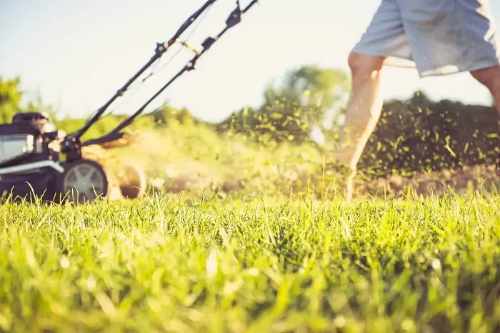 Can you mow wet grass in Fort Lauderdale, FL