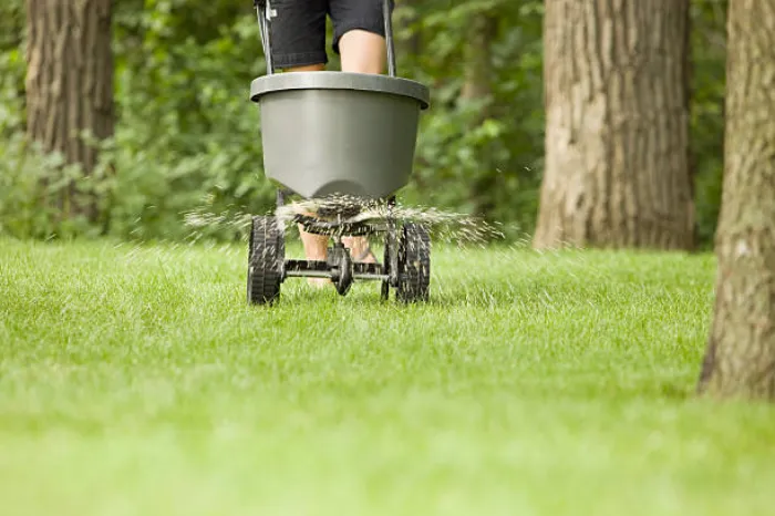 Dependable Lawn Fertilization in Fort Lauderdale, FL