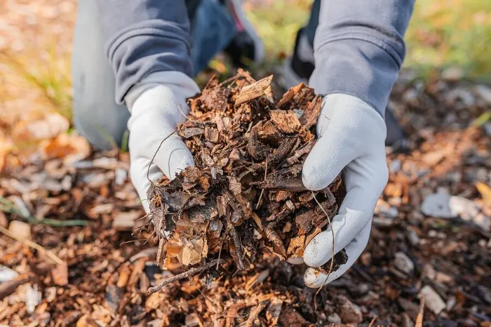 Dependable Mulching in Fort Lauderdale, FL