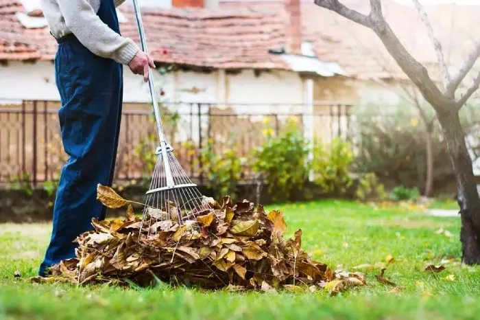 Detailed Yard Cleanup in Fort Lauderdale, FL