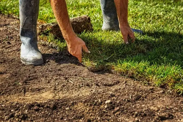 Excellent Sod Installation in Fort Lauderdale, FL