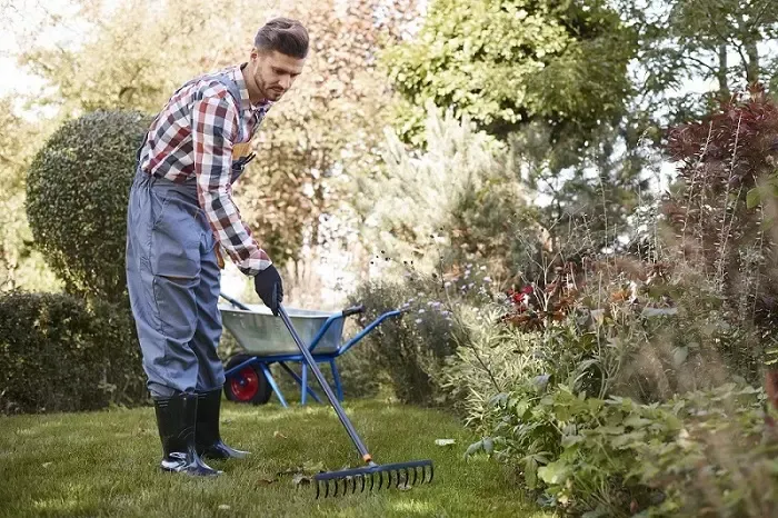 Exceptional Yard Cleanup in Fort Lauderdale, FL