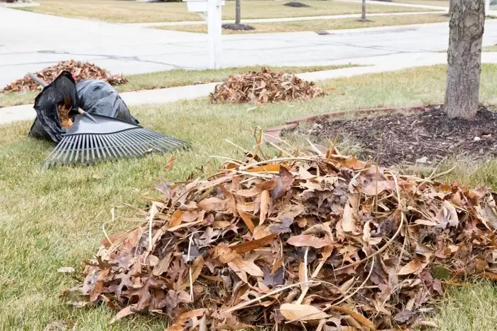 High-quality Yard Cleanup in Fort Lauderdale, FL