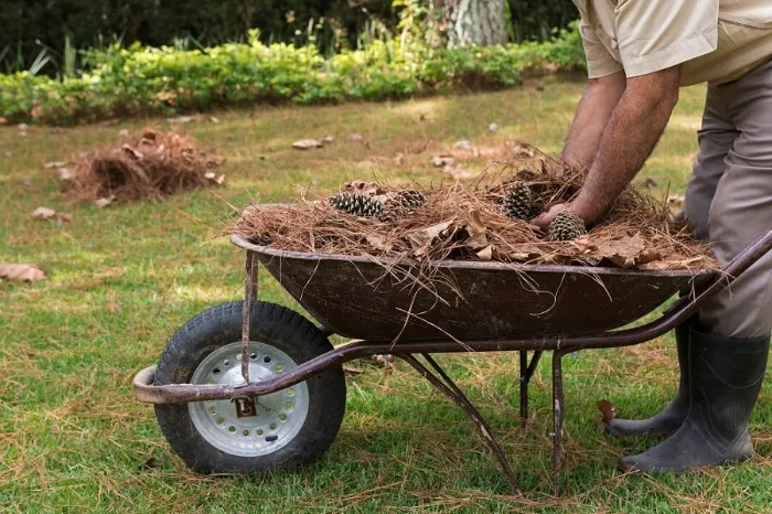 How To Clean A Backyard in Fort Lauderdale, FL