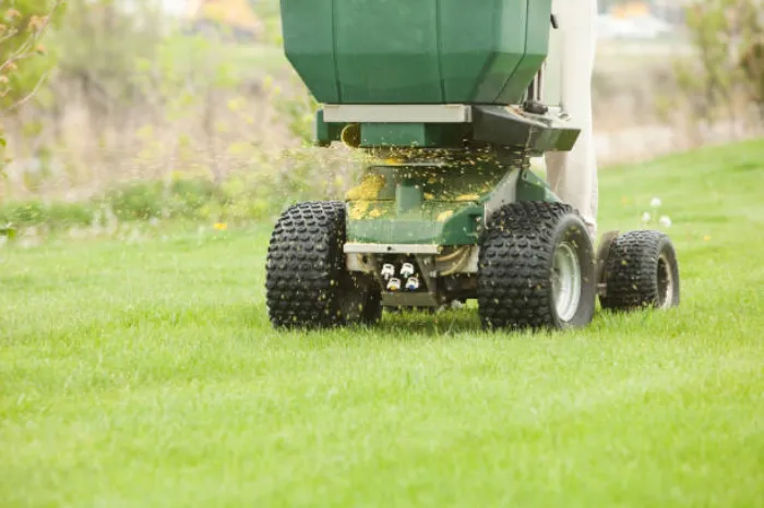 How often should you fertilize your lawn Fort Lauderdale, FL