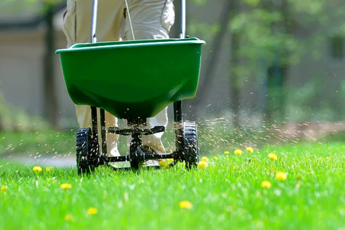 How often should you fertilize your lawn in Fort Lauderdale, FL