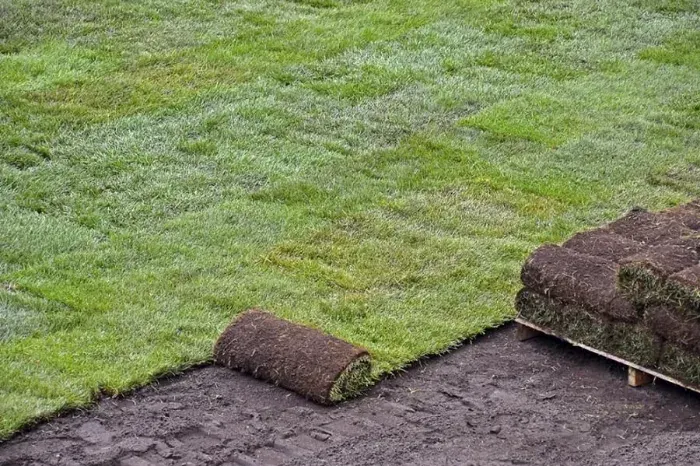 How to lay sod over existing lawn Fort Lauderdale, FL