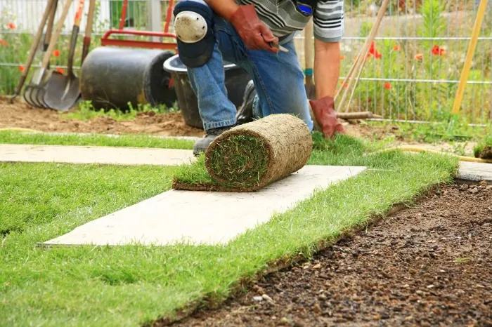 How to lay sod over existing lawn in Fort Lauderdale, FL