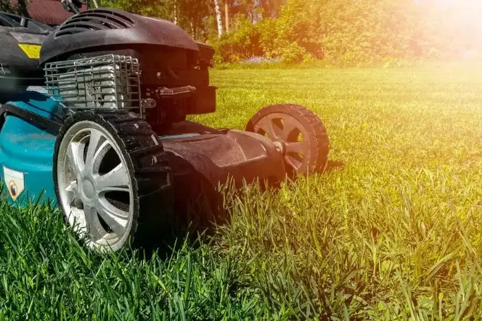 Professional Lawn Mowing in Fort Lauderdale, FL