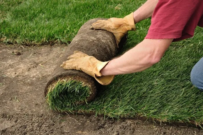 Proficient Sod Installation in Fort Lauderdale, FL