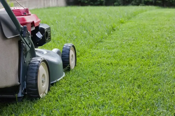 Reliable Lawn Mowing in Fort Lauderdale, FL