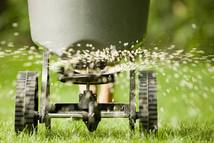 Top-notch Lawn Fertilization in Fort Lauderdale, FL