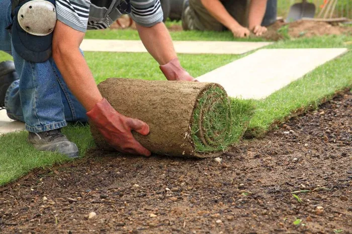 Trusted Sod Installation in Fort Lauderdale, FL